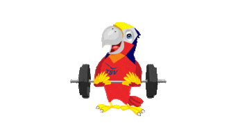 Sport Parrot Sticker by TSV Falkensee e.V.