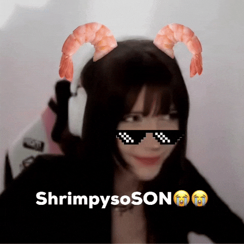 Shrimpysoso GIF
