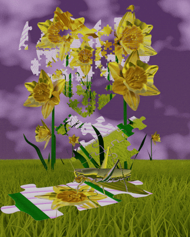 Heart Love GIF by Mr. Cody England