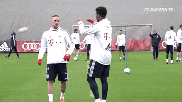 david alaba yes GIF by FC Bayern Munich