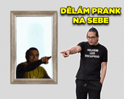 Leonardo Dicaprio Leo GIF