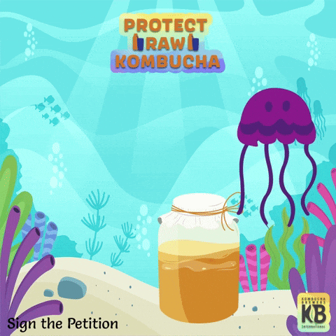 Kombucha Brewers International GIF