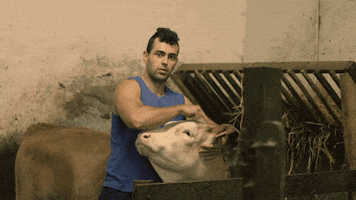 Euskara GIF by EiTB