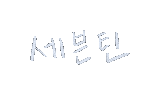 세븐틴 Sticker