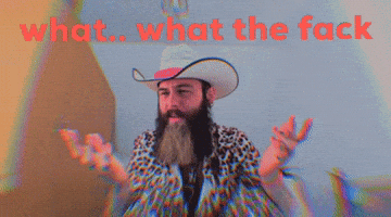 Fun What GIF
