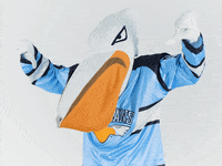Lahti-pelicans GIFs - Get the best GIF on GIPHY