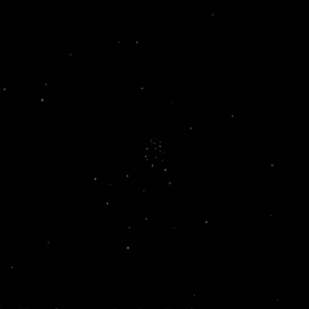 David Bowie Skyline GIF by Baobab communication