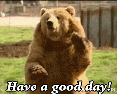 Bear-waving GIFs - Get the best GIF on GIPHY