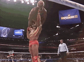 Ultimate Warrior Sport GIF by WWE