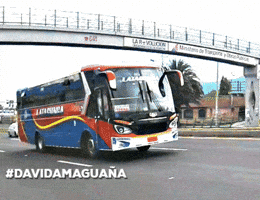 luismiguelsanchez  GIF