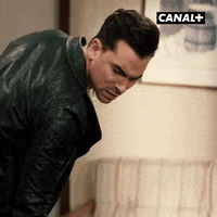Go David Rose GIF by CANAL+