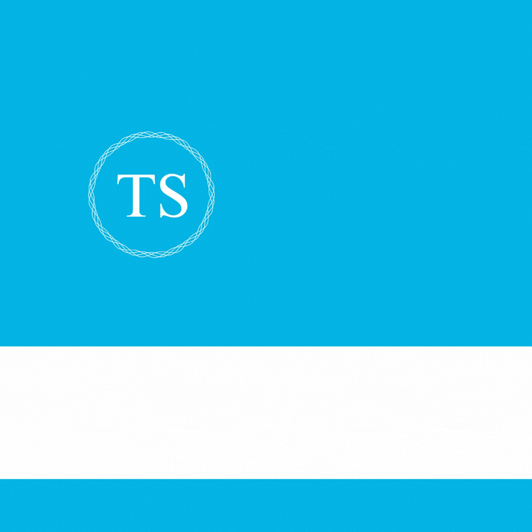 TSAccountant GIF