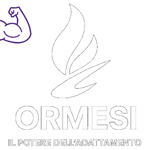 Fitness Workout Sticker by bertrand.adrenaline