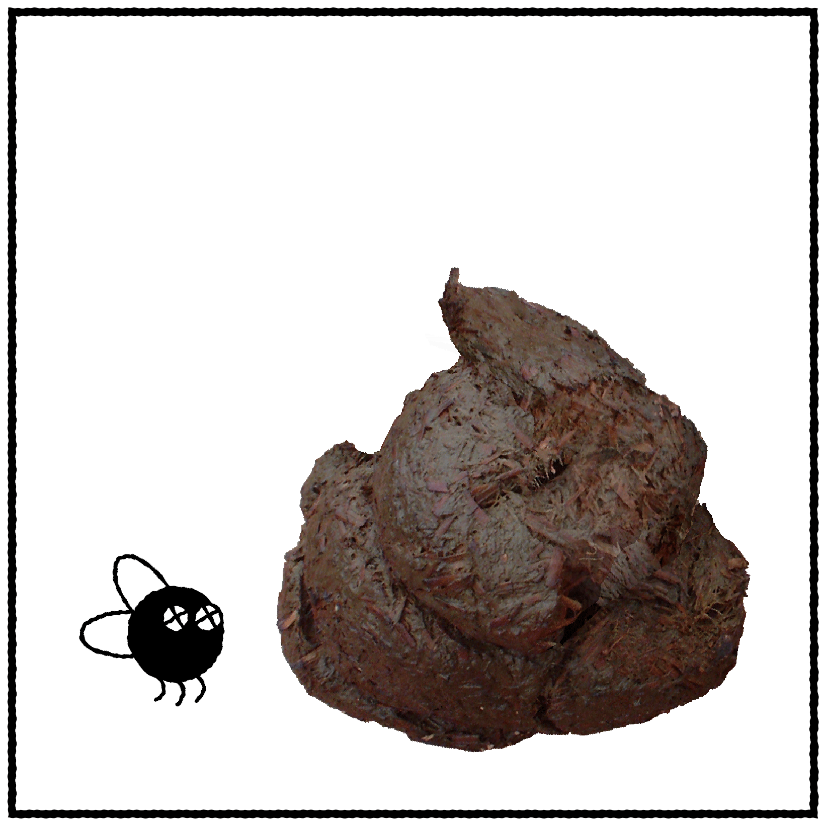 Fly Flies GIF