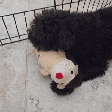 Casper GIF