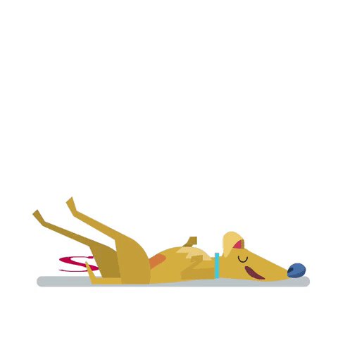 Sleep Sleeping GIF
