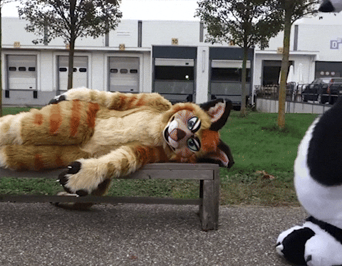 Yiff-furry-porn GIFs - Get the best GIF on GIPHY