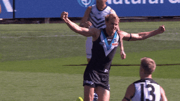goal celebrate GIF by Port Adelaide FC