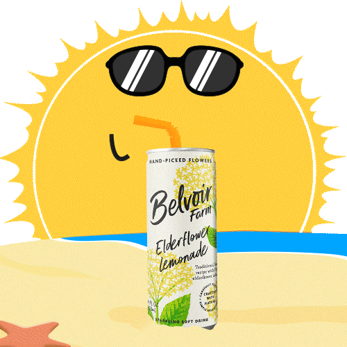 Summer Beach Sticker by Belvoir Lemonades & Cordials