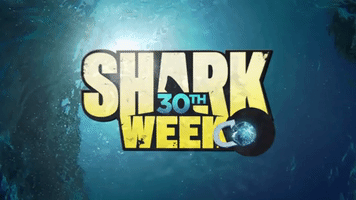 discovery channel sharks GIF by Discovery Europe