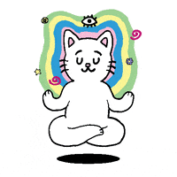 floating white cat GIF by lilcozynostril