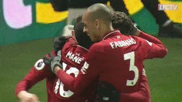 celebrate premier league GIF by Liverpool FC