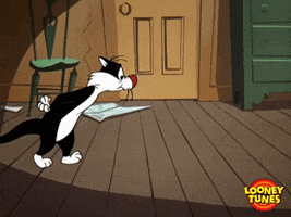 scared wait GIF by Looney Tunes