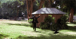 [Image: giphy.gif]