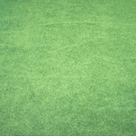 Big Bird GIF by TeaCosyFolk