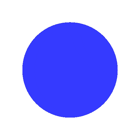 allyship and action Sticker