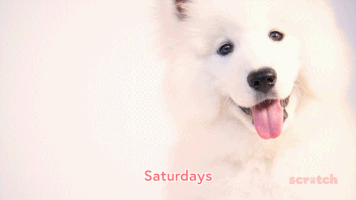 Dog GIF