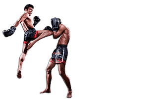 Fight Topfightclub Sticker by tfcbrasil