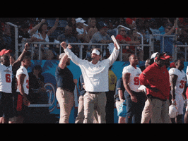 hands up celebration GIF by FAU Athletics