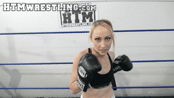 punch out boxing GIF