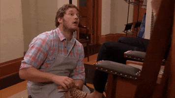 rental scams gif: gif of andy from parks and rec saying, "Oh my god. What is that?"