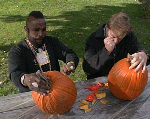 Pumkin carving  Giphy