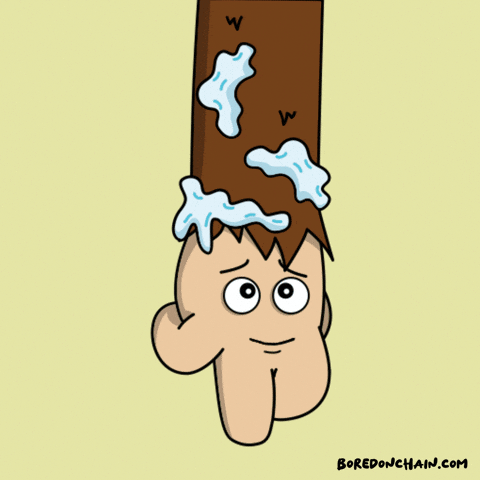 Invierno Freezing GIF by Bored On Chain