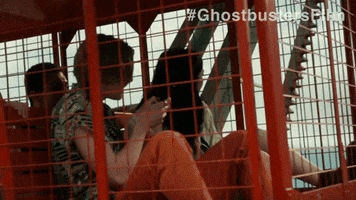 Film Ghostbusters GIF by Sony Pictures Germany