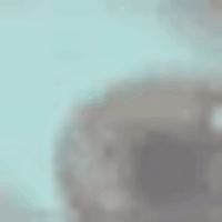 200.gif?cid=fc005b0818dae9588c0bba7140f6ed4e598b2d1c7da5c71b&rid=200.gif&ct=g