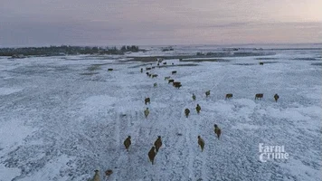 winter drone GIF by CBC