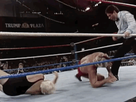 Wrestlemania V Wrestling GIF by WWE