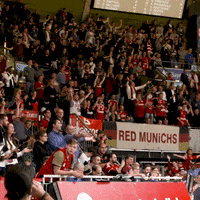 clap your hands fans GIF by FC Bayern Basketball