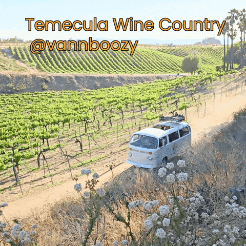 Vw Temecula GIF by vannboozy