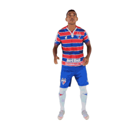 Fortalezaec Tricolordeaco Sticker by Fortaleza Esporte Clube for iOS &  Android | GIPHY