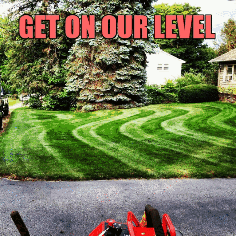 Gravelystripes GIF