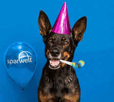 party animal dog GIF by sparwelt.de