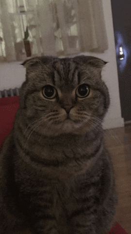 Chianti Chiantikalmanson GIF by The Brothers Frost