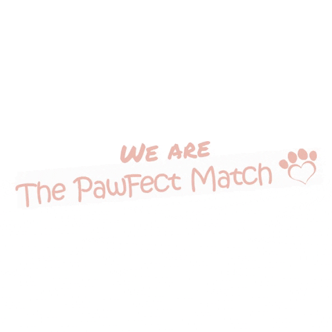 The Pawfect Match GIF