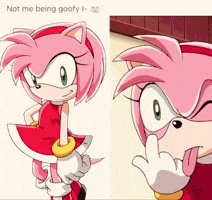 Sonic X Amy GIF