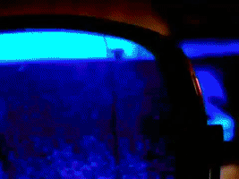 Garbage GIF